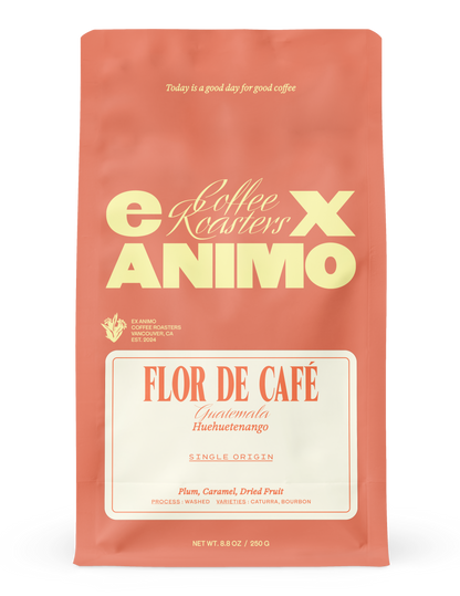 Flor de Café