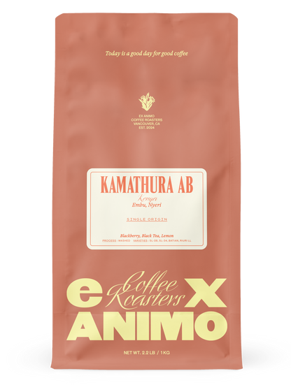 Kamathura