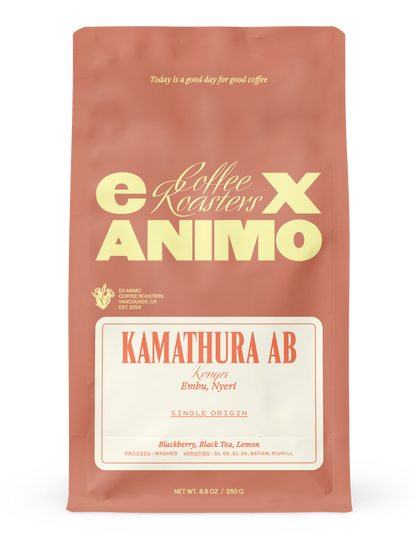 Kamathura