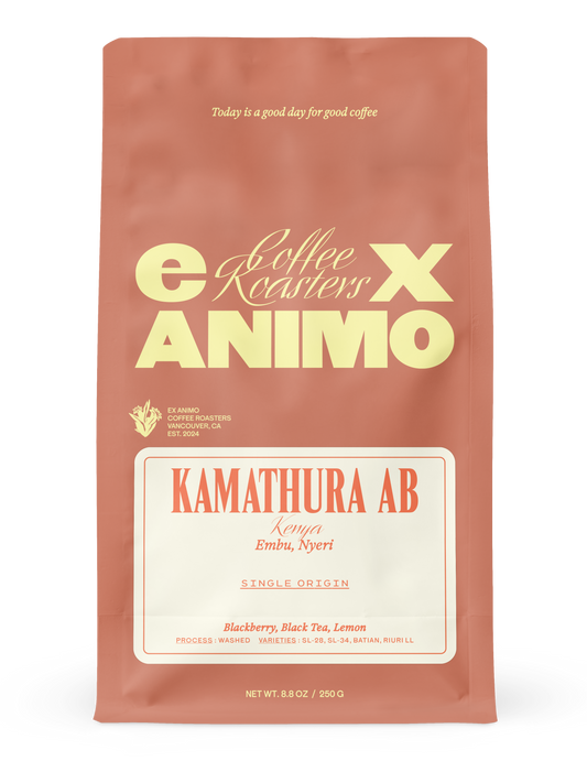 Kamathura