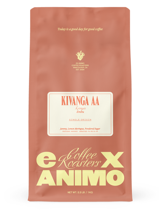 Kivanga