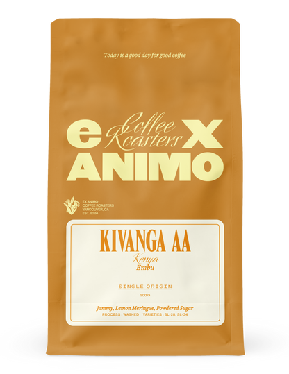 Kivanga