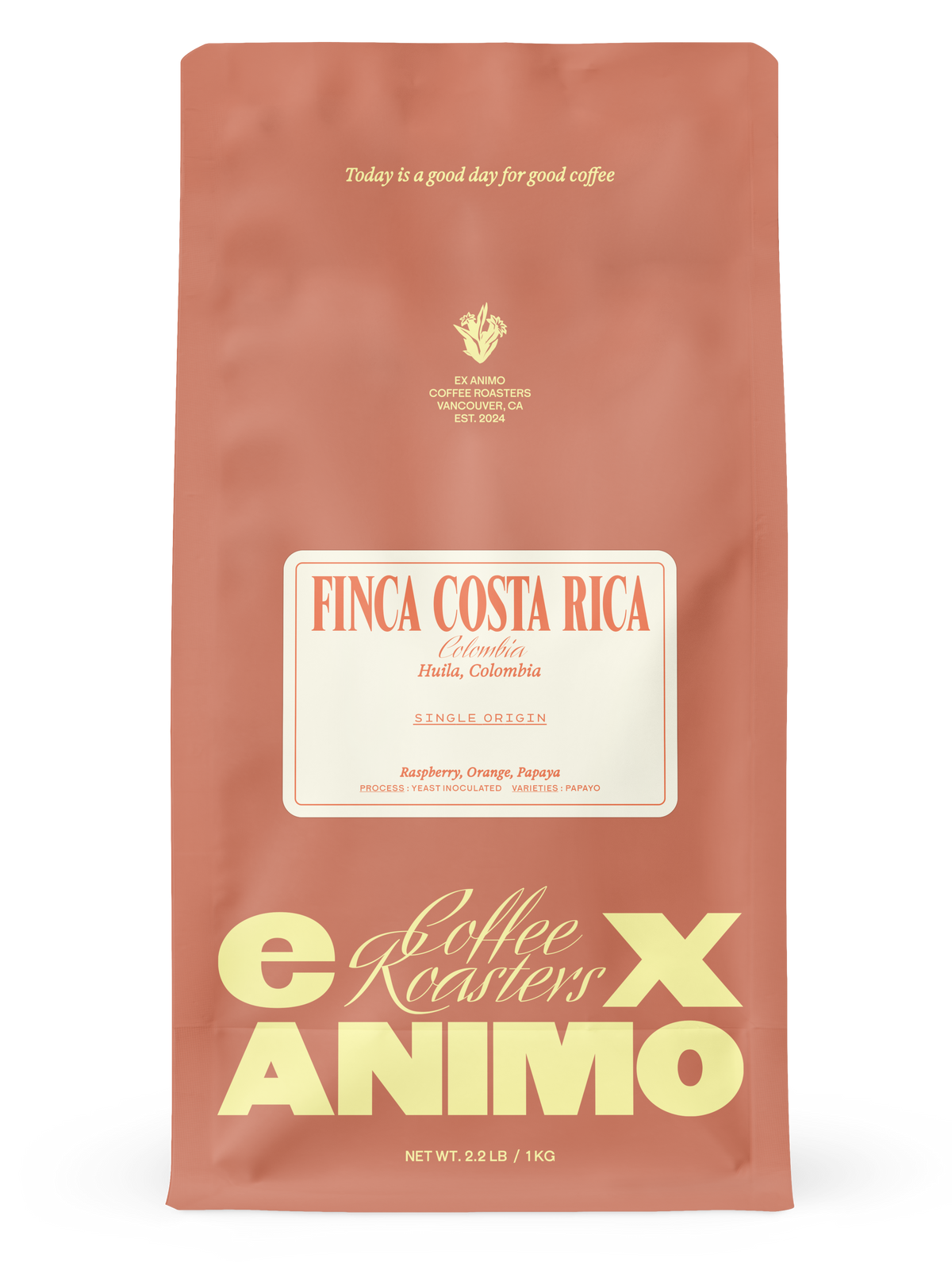 Finca Costa Rica Papayo
