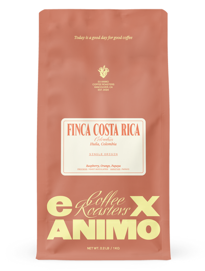 Finca Costa Rica Papayo